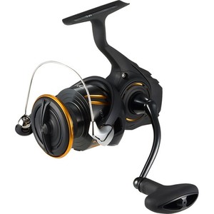 Daiwa BG SW | eBay