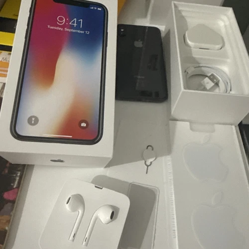 iPhone X