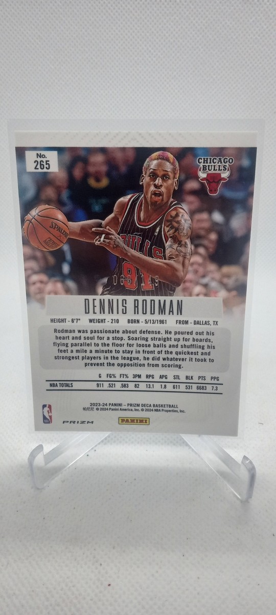 MTV denis rodman1997 world tour デカバッジ　レア Dennis Rodman 1996-97 Upper Deck From Way Downtown #334