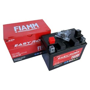 Batteria AGM 12V 19Ah (20H) FIAMM ECOFORCE F19-12B - Ricambio Per Scooter, Caddy Da Golf, Camper, Pannelli Solari - VRLA Esente Manutenzione - 2