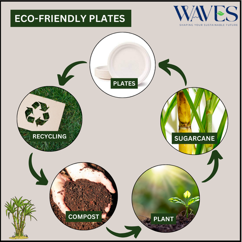 Super Rigid Biodegradable Bagasse Plates - Eco-Friendly Party Tableware - Picture 4 of 14