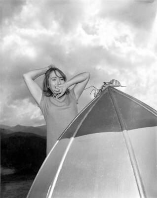 THE OUTER LIMITS Old TV photo The Zanti Misfits 1963 Olive Deering 5