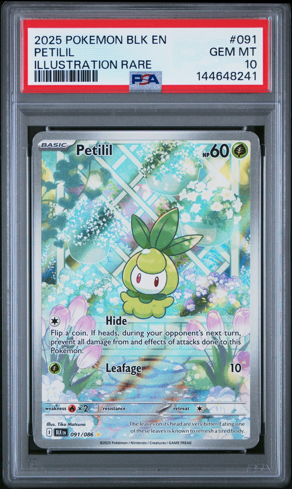 2025 POKEMON BLK EN-BLACK BOLT ILLUSTRATION RARE #091 PETILIL PSA 10