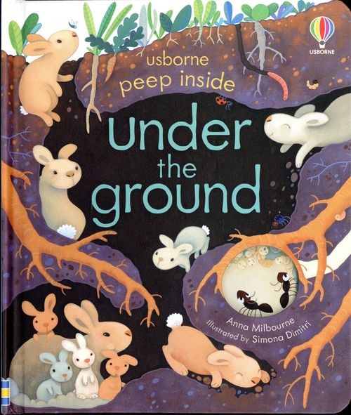 Usborne Peep Inside Under the Ground
