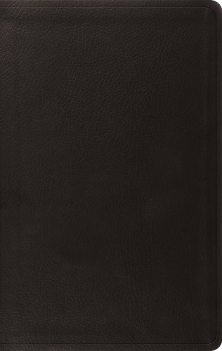 ESV Value Thinline Bible - 9798874903299