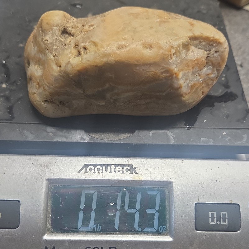 Stunning South Dakota Prairie Agate Rough, Slabbing, Cabbing, Lapidary- 14.3 oz