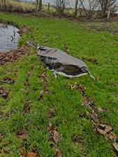 98 Texas Rag Pinkfoot Greylag Goose Decoys Windsock Decoys Pink-Foot Canada 