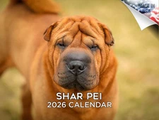 Shar Pei Calendar 2026 12x18 Made in the USA