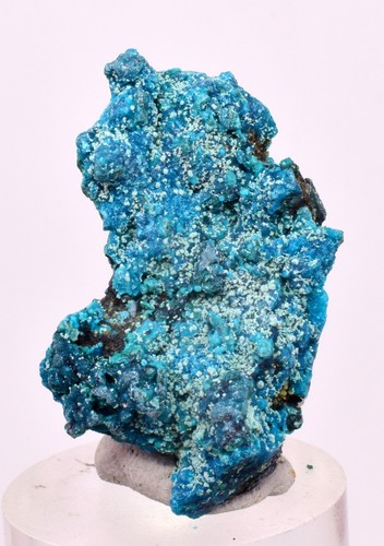 3,3 cm QUARZ CHRYSOKOLL BOTRYOIDALE TENTADORA MINE PERU MINERALPROBE CB242 3,3 cm QUARZ CHRYSOKOLL BOTRYOIDALE TENTADORA MINE PERU MINERALPROBE CB242