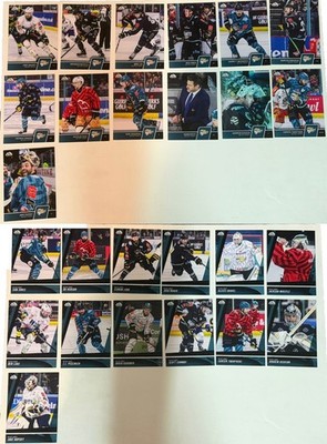 Belfast Giants Series 2 Two 2025/26 Choose Your Card Base Alternative Base AB