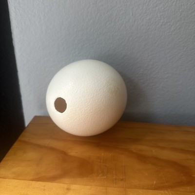 Genuine Quality Blank Ostrich Egg Shell for Craft Art Decoration Painting 