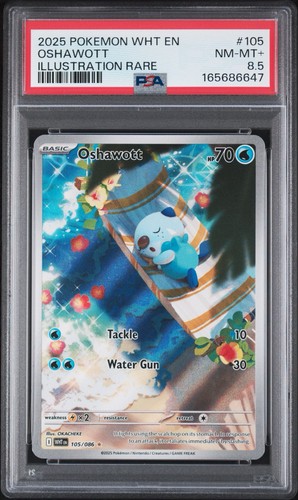 Oshawott graded PSA 8.5 for sale on eBay