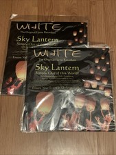 Paper lanterns Set of 2 New In Package 