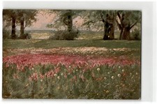 AK Blumenwiese, Landschaftsmotiv, Serie 244 u...