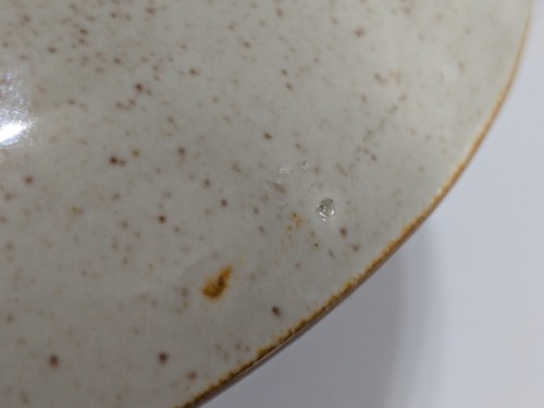 2 platos de cena de cerámica Red Wing hojas de roble de Cachemira y bellota de 10,25" - Imagen 16 de 17
