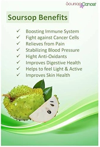 KEYXE Premium Soursop Graviola Leaf Tea | 75 Bags | 75g | 100% Natural | BB 9/26 - Picture 7 of 18