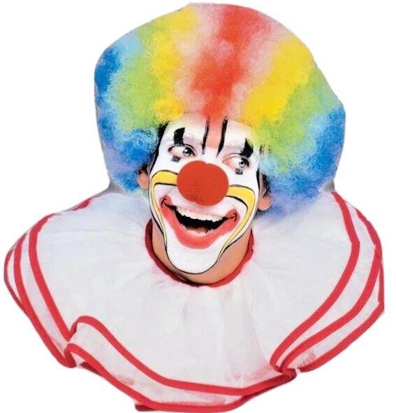 Halloween, Mardi Gras Payaso Peluca Foro Novedades Adulto Arco Iris Disfraz de Lujo-NUEVO Foto 2 de 4