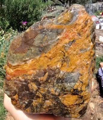 E's 3  Lb 5 Oz Jasper California Central Coast