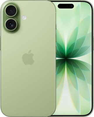 Apple iPhone 17 256GB Salbei Dual-Sim Neu OVP 5G Deutscher Händler Ohne Vertrag