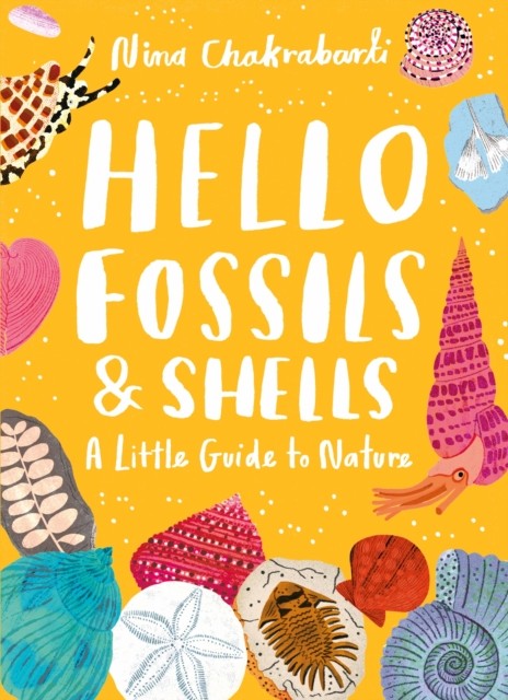 Little Guides to Nature: Hello Fossils and Shells by Nina Chakrabarti - Image 6
