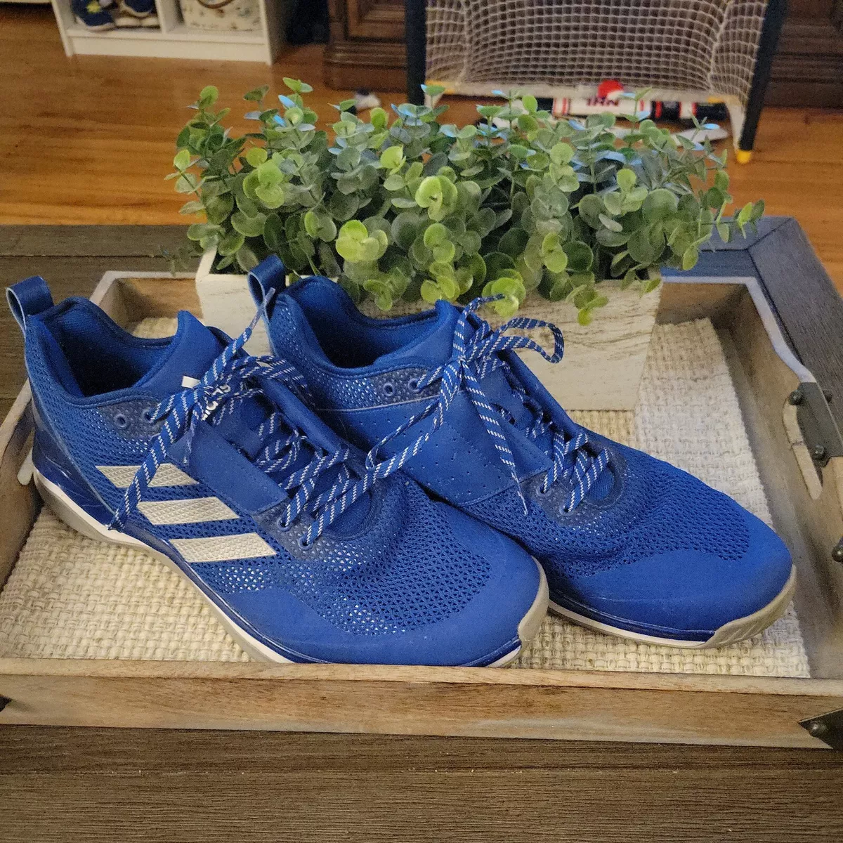 adidas Performance Men s Speed Trainer 3.0 Collegiate Royal