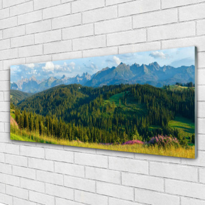 Acrylglasbilder Wandbilder aus Plexiglas  125x50 Gebirge Wald Natur