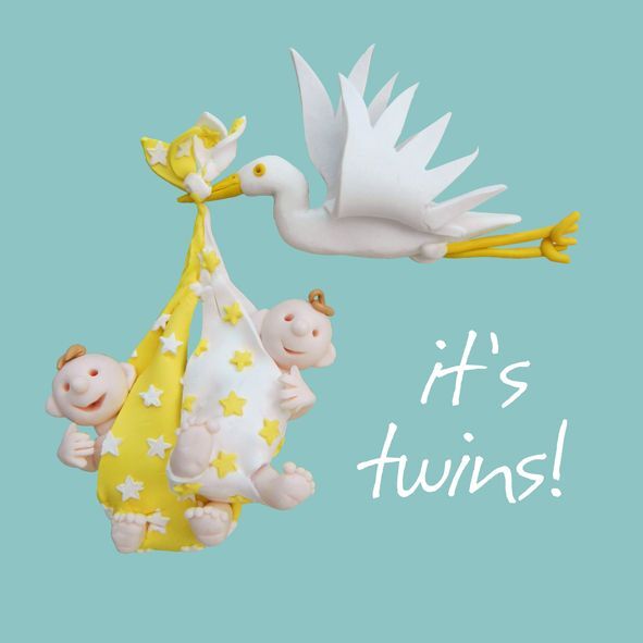 New Baby Card - It's Twins Stork - One Lump Or Two Quality NEW