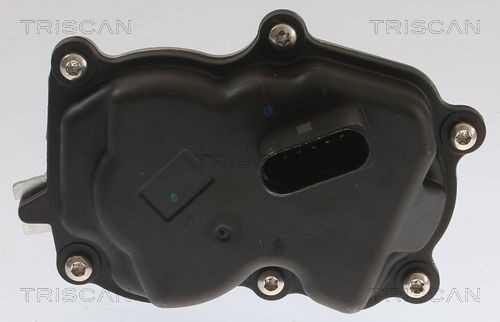 Triscan Agr-Ventil 8813 29083 FüR Seat Skoda VW-image