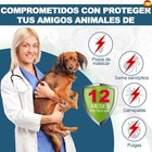 Imagen 2 de 7