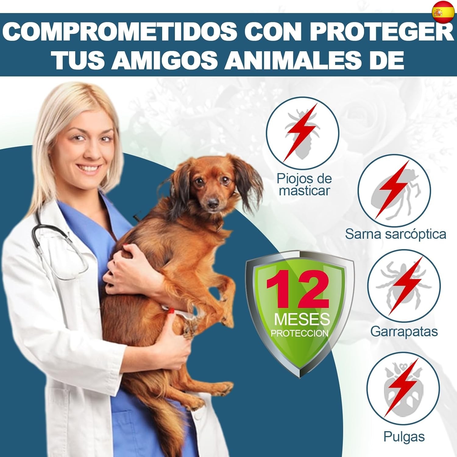 Imagen 2 de 7