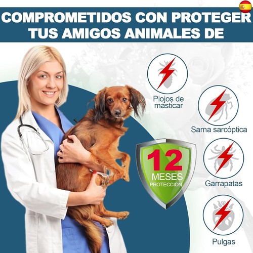 Collar Antiparasitario Perros, Seguro y Eficaz Collares Antiparasitos Perros, - Imagen 2 de 7