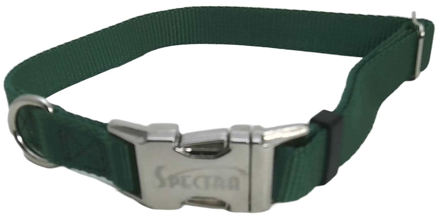 Coastal Adjustable Dog Collar with Metal Buckle, Various Colors & Sizes