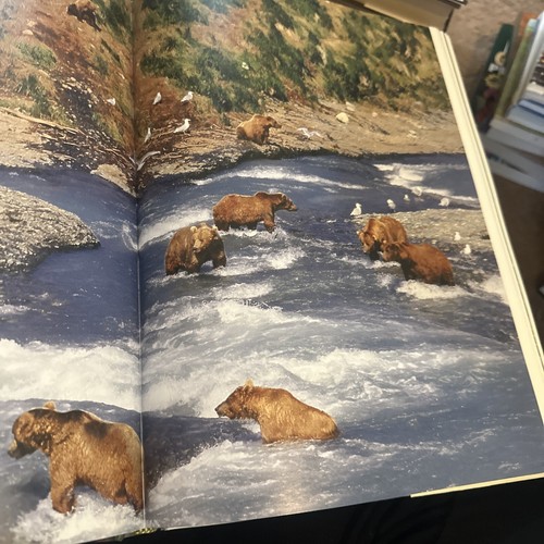 north american wildlife book - Imagen 8 de 10