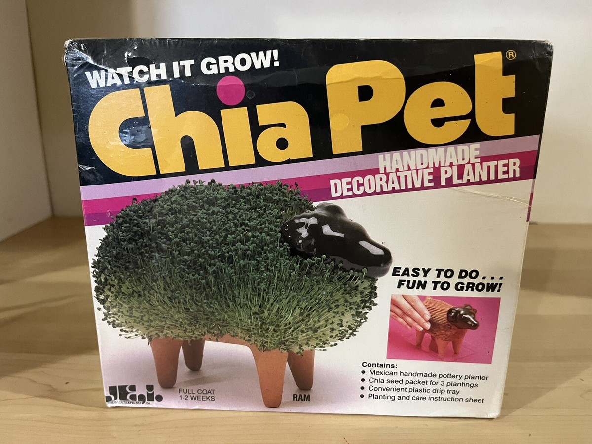 Vintage Chia Pet Bull 1990 New In Box NIB | eBay