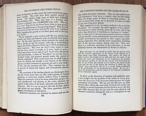 Why We Behave Like Human Beings GEORGE DORSEY 1920s Anthropology Book - Picture 7 of 10