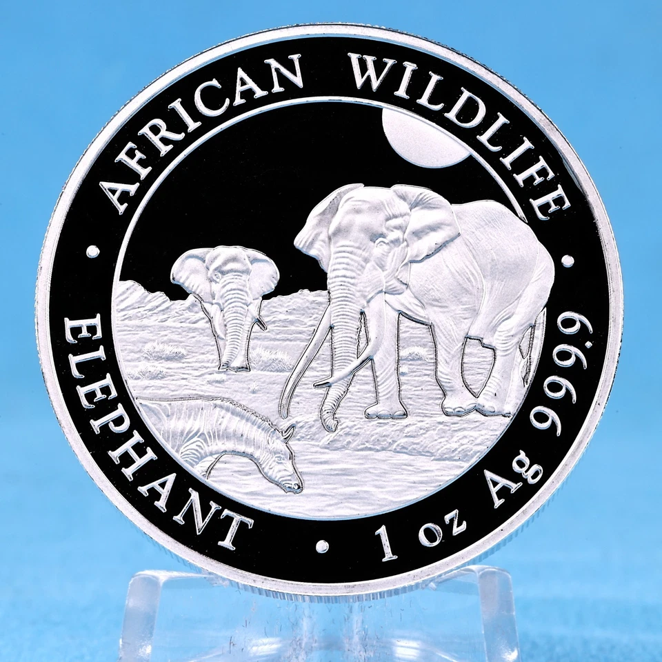 Elefant Elephant Silbermünze Somalia 2026 1 Oz Silber 999.9 African Wildlife - Bild 3 von 4