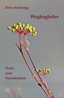 Wegbegleiter: Texte zum Nachdenken Anderegg, Ilona: