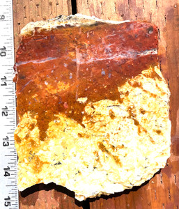 Gorgeous Jasper Agate Red White Slab Large