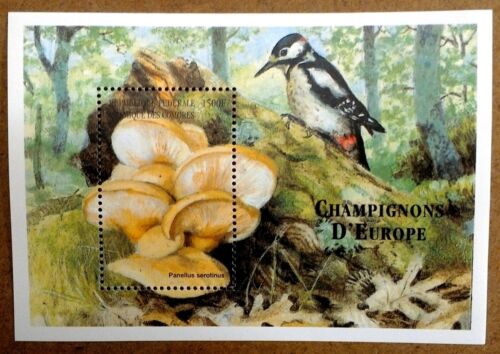 VINTAGE CLASSICS - Comoros 1999 - Oyster Mushroom - Souvenir Sheet - MNH