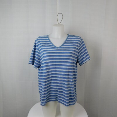 Classic Elements Short Sleeve V-Neck Knit T-Shirt - Blue Stripe, Large #9830