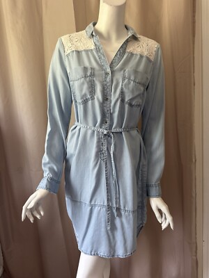 holding horses blue dress Blue Equestrian Print Dress