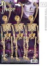 Halloween Prop Skeleton Party Decorations Pk3