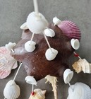 Bild 8 von 17