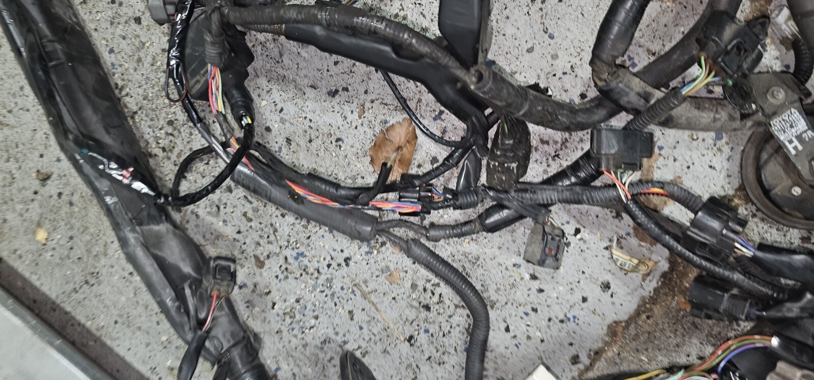 1997 Lexus Sc300 Engine HARNESS eBay