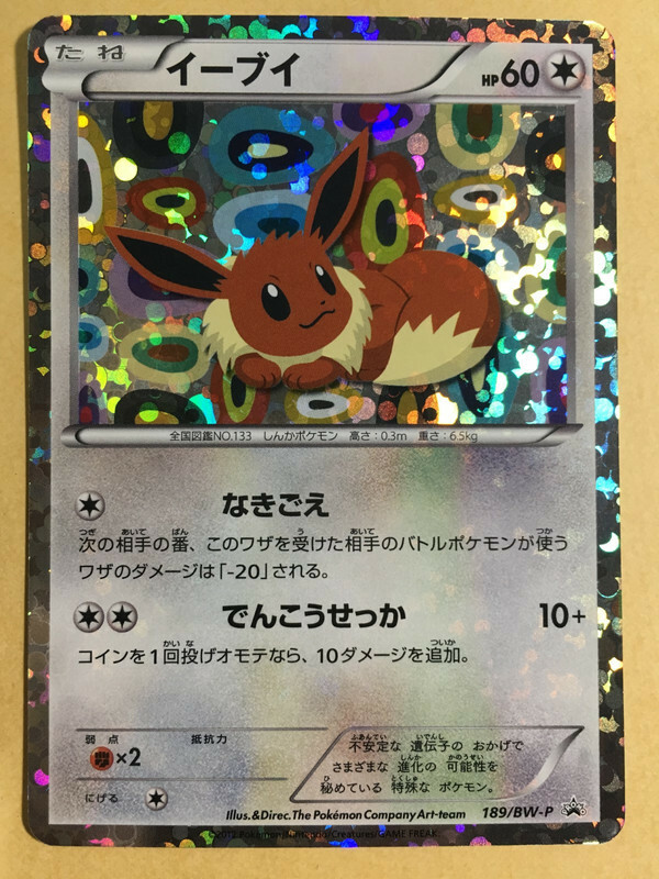 Eevee Pokemon 2012 Holo Eevee Collection File Promo Japanese