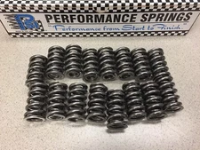 NASCAR PSI SOLID ROLLER CAM VALVE SPRINGS 1.300" 180-625lbs