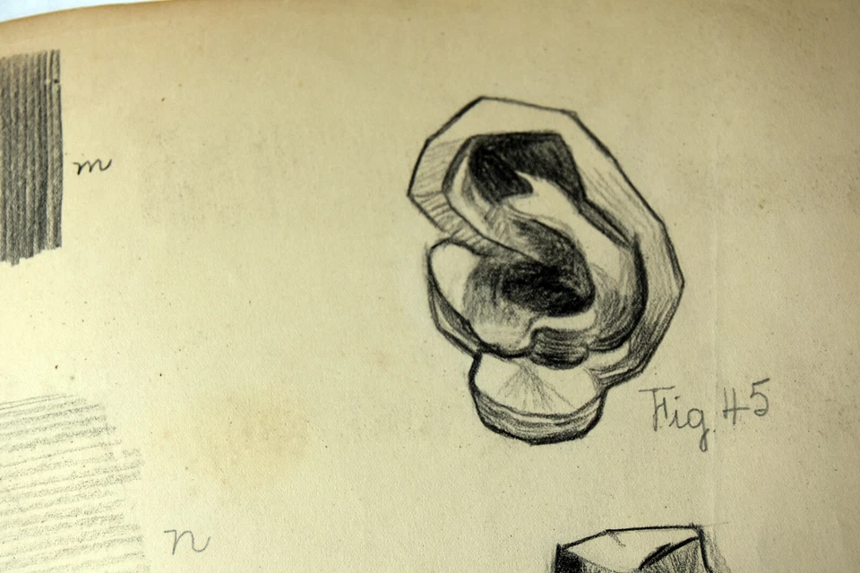 Lápiz de dibujo antiguo de 17" de los años 20 dibujo al carbón estudio de nariz de la señora Lester Bennett Foto 4 de 4