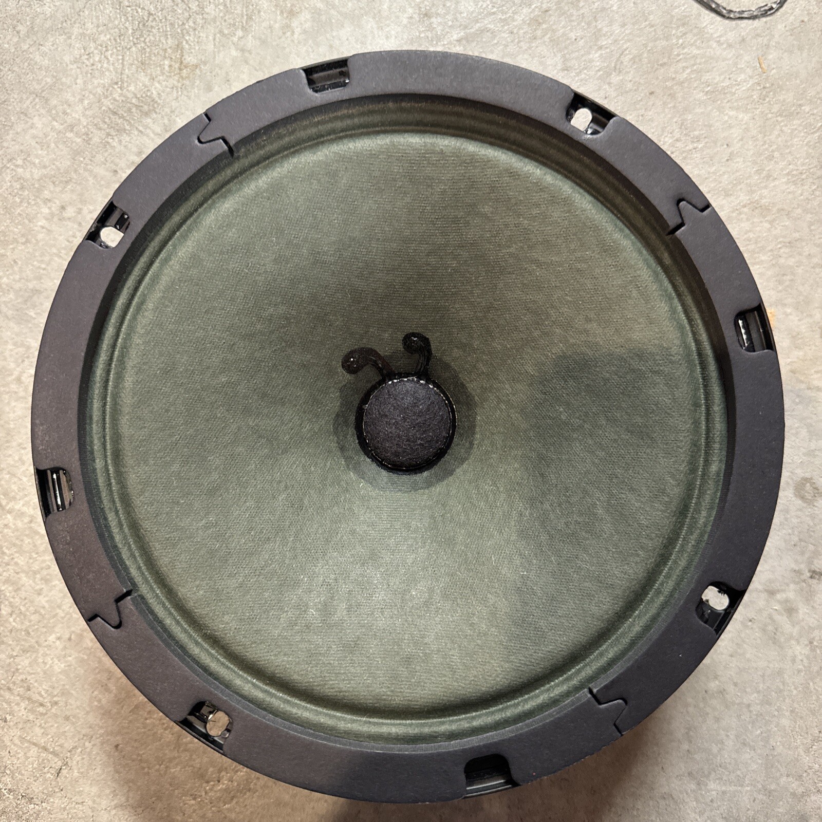 Tone Tubby 25 Watt Ceramic 8” 4-ohm  Hempcone Speaker Used 10 Times @ Low Volume