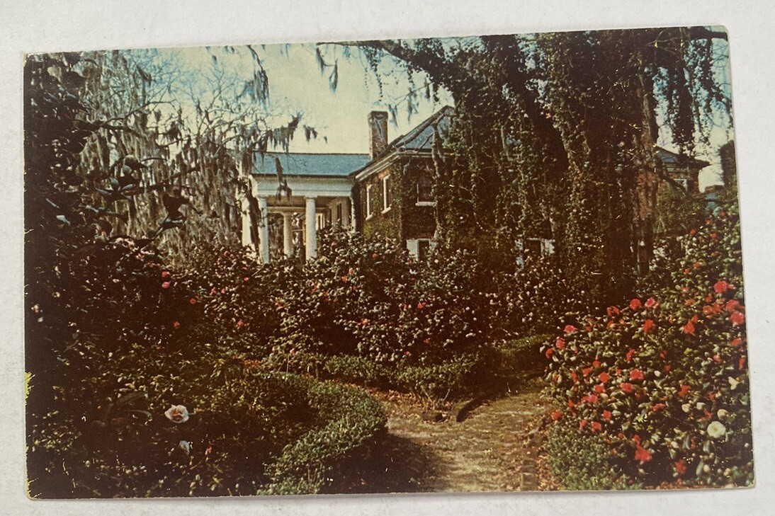Vintage Postcard ~ Boone Hall Colonial Plantation~ Mt Pleasant South Carolina SC