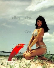 A Bettie Page Posing In Bikini 8x10 PHOTO PRINT